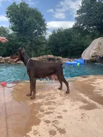 processed/68b40663-2cdd-4b0d-ba4a-8812a199c016/facility/e2c55be4-3602-4e0d-aff5-9b2f4683a37f