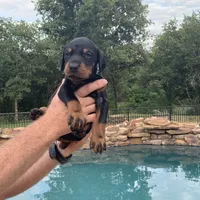 processed/68b40663-2cdd-4b0d-ba4a-8812a199c016/facility/e5d9ca62-5f97-47f7-bdad-e6b202f88e4c