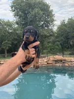 processed/68b40663-2cdd-4b0d-ba4a-8812a199c016/facility/e5d9ca62-5f97-47f7-bdad-e6b202f88e4c