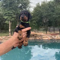 processed/68b40663-2cdd-4b0d-ba4a-8812a199c016/facility/f0162d6f-db62-4e1f-a142-cf909e3b7eb1