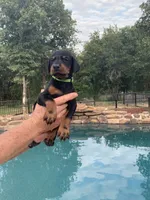 processed/68b40663-2cdd-4b0d-ba4a-8812a199c016/facility/f0162d6f-db62-4e1f-a142-cf909e3b7eb1