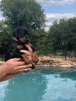 processed/68b40663-2cdd-4b0d-ba4a-8812a199c016/facility/f2639793-9da9-43ba-a798-f64c24781403