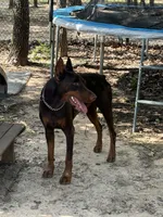 processed/68b40663-2cdd-4b0d-ba4a-8812a199c016/listing/2785432a-4b13-4c52-948b-dd975e89ea3c/05b08c03-95a3-487e-b4a1-5268480ecd08