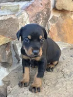 processed/68b40663-2cdd-4b0d-ba4a-8812a199c016/listing/2785432a-4b13-4c52-948b-dd975e89ea3c/2559cdda-a754-4c8e-a6cc-4cc9d071a09a