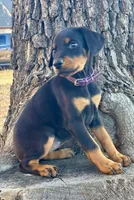 processed/68b40663-2cdd-4b0d-ba4a-8812a199c016/listing/2785432a-4b13-4c52-948b-dd975e89ea3c/e95ae386-5493-4697-8b9b-ca922e2f42ab