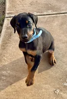 processed/68b40663-2cdd-4b0d-ba4a-8812a199c016/listing/39191040-d131-4384-8a35-19dba48392a4/261a2608-a436-4126-8b88-6a4527d8ff9c