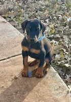 processed/68b40663-2cdd-4b0d-ba4a-8812a199c016/listing/39191040-d131-4384-8a35-19dba48392a4/5ba7ca76-23af-45ce-958d-7ca623eda3a3