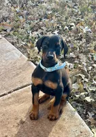 processed/68b40663-2cdd-4b0d-ba4a-8812a199c016/listing/39191040-d131-4384-8a35-19dba48392a4/76c55b94-1849-4400-a747-3a28f25fa090