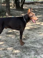 processed/68b40663-2cdd-4b0d-ba4a-8812a199c016/listing/39191040-d131-4384-8a35-19dba48392a4/d33e7590-4222-46db-bdb2-6035694354f1