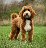 processed/68ba3d96-5364-47ee-915d-4f1771cd40e0/facility/cd83e71c-9cde-4f61-be60-ccb0e0e709e8