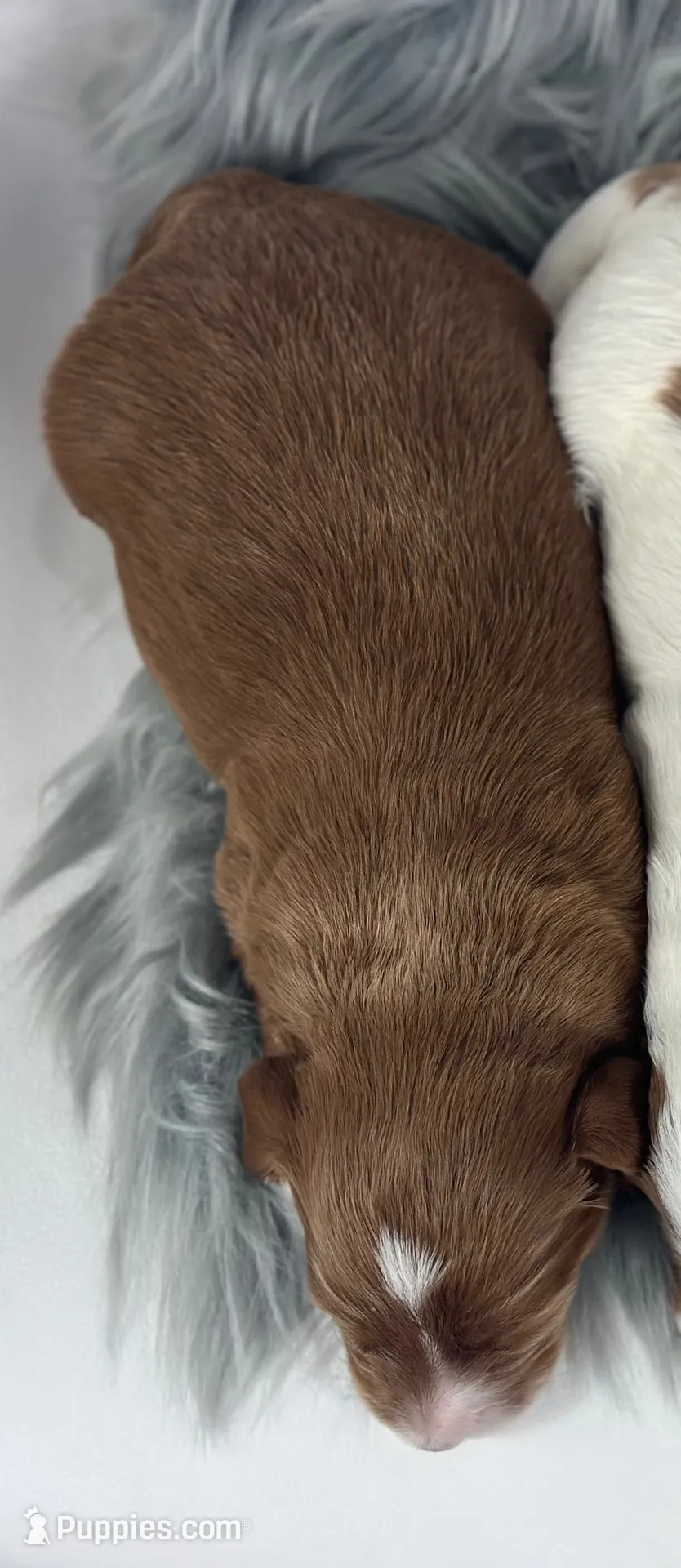 processed/68ba3d96-5364-47ee-915d-4f1771cd40e0/listing/014fd890-1fb8-4f47-8860-335dc6d874d4/88dae40e-73fe-4d65-b145-88fbe49354d9