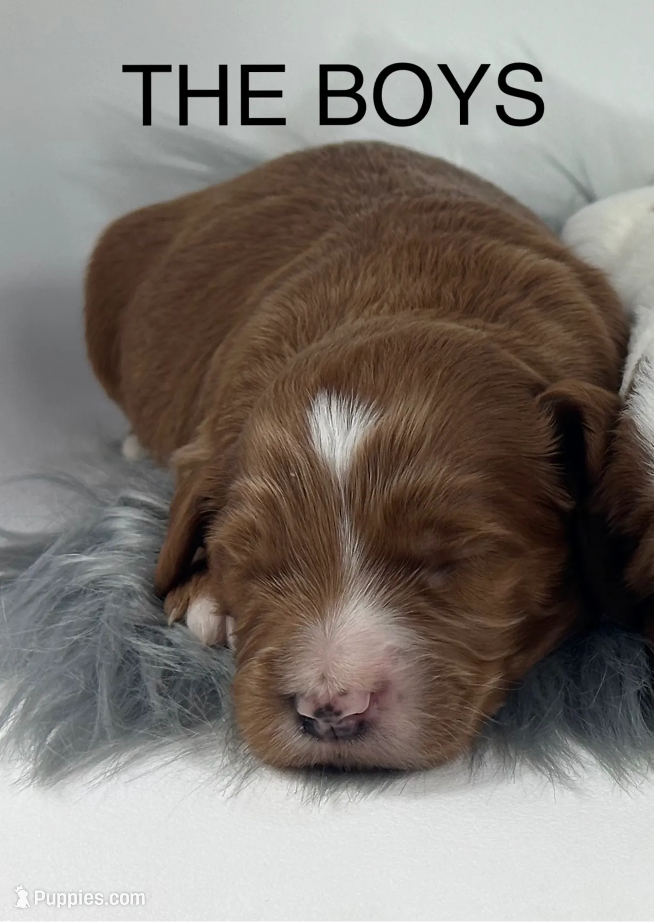 processed/68ba3d96-5364-47ee-915d-4f1771cd40e0/listing/014fd890-1fb8-4f47-8860-335dc6d874d4/9643d9b4-6ae7-4007-827f-f523357bb422