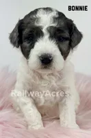 processed/68ba3d96-5364-47ee-915d-4f1771cd40e0/listing/01c63094-cdea-4943-bf86-5d59d913e630/55afd4d2-322f-427d-8a79-e749a36334e8