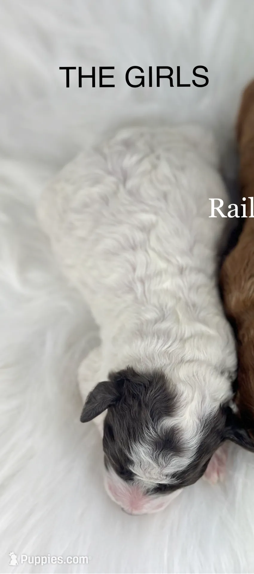 processed/68ba3d96-5364-47ee-915d-4f1771cd40e0/listing/01c63094-cdea-4943-bf86-5d59d913e630/bef37c7f-ba90-434e-99bd-ccc222566119