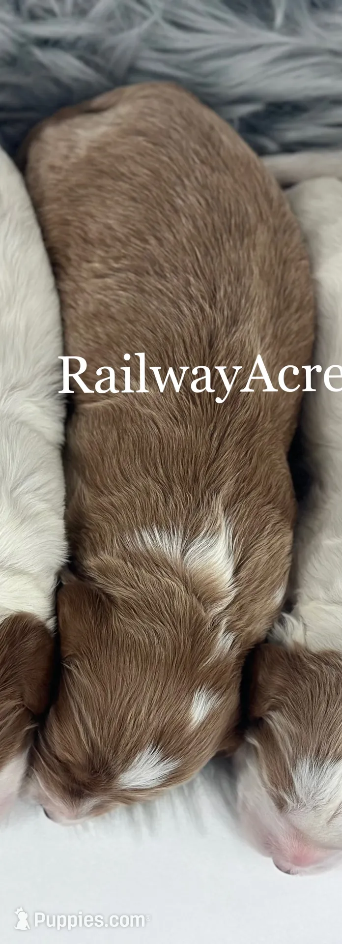 processed/68ba3d96-5364-47ee-915d-4f1771cd40e0/listing/47ec2575-0213-49cf-9a71-335b274e5b8a/cb18dc16-b30e-42ff-8143-cde80d71418b