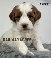 processed/68ba3d96-5364-47ee-915d-4f1771cd40e0/listing/48535605-8afc-4ea6-aec1-20f2a6581cff/126798bd-2abd-468c-8567-11cde37f1c42