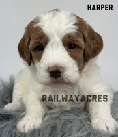 processed/68ba3d96-5364-47ee-915d-4f1771cd40e0/listing/48535605-8afc-4ea6-aec1-20f2a6581cff/20a5696b-5110-4a6e-bb9f-1c5e7ab57c5b