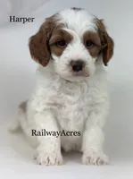 processed/68ba3d96-5364-47ee-915d-4f1771cd40e0/listing/48535605-8afc-4ea6-aec1-20f2a6581cff/ac267627-f7e9-4915-93cd-c9f40e429edd