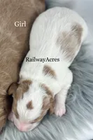 processed/68ba3d96-5364-47ee-915d-4f1771cd40e0/listing/48535605-8afc-4ea6-aec1-20f2a6581cff/cda094c7-5385-47d6-871e-624eddcb7db8