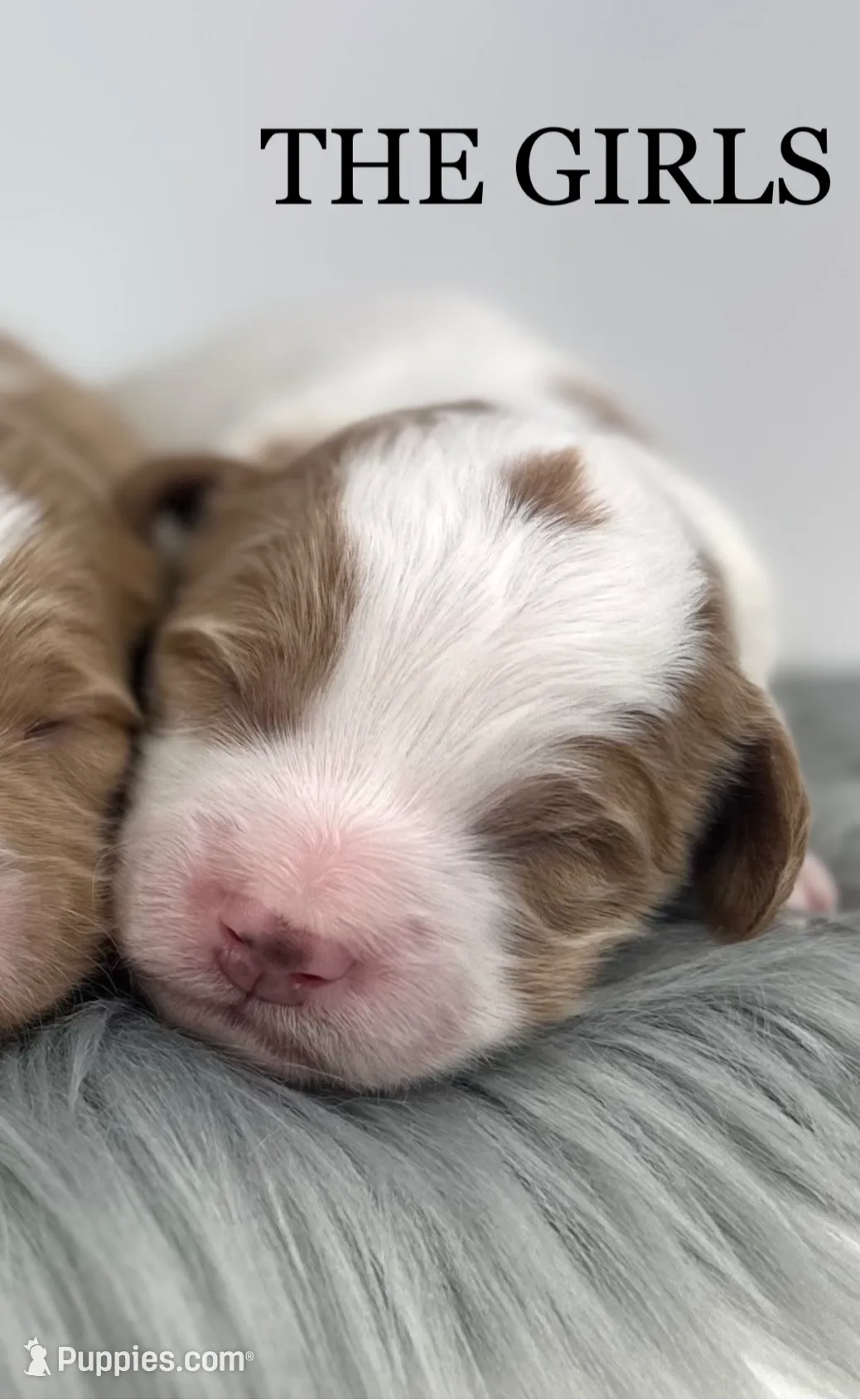 processed/68ba3d96-5364-47ee-915d-4f1771cd40e0/listing/48535605-8afc-4ea6-aec1-20f2a6581cff/ef2f6b47-b32b-4e99-95ac-0a3ae5017fa9