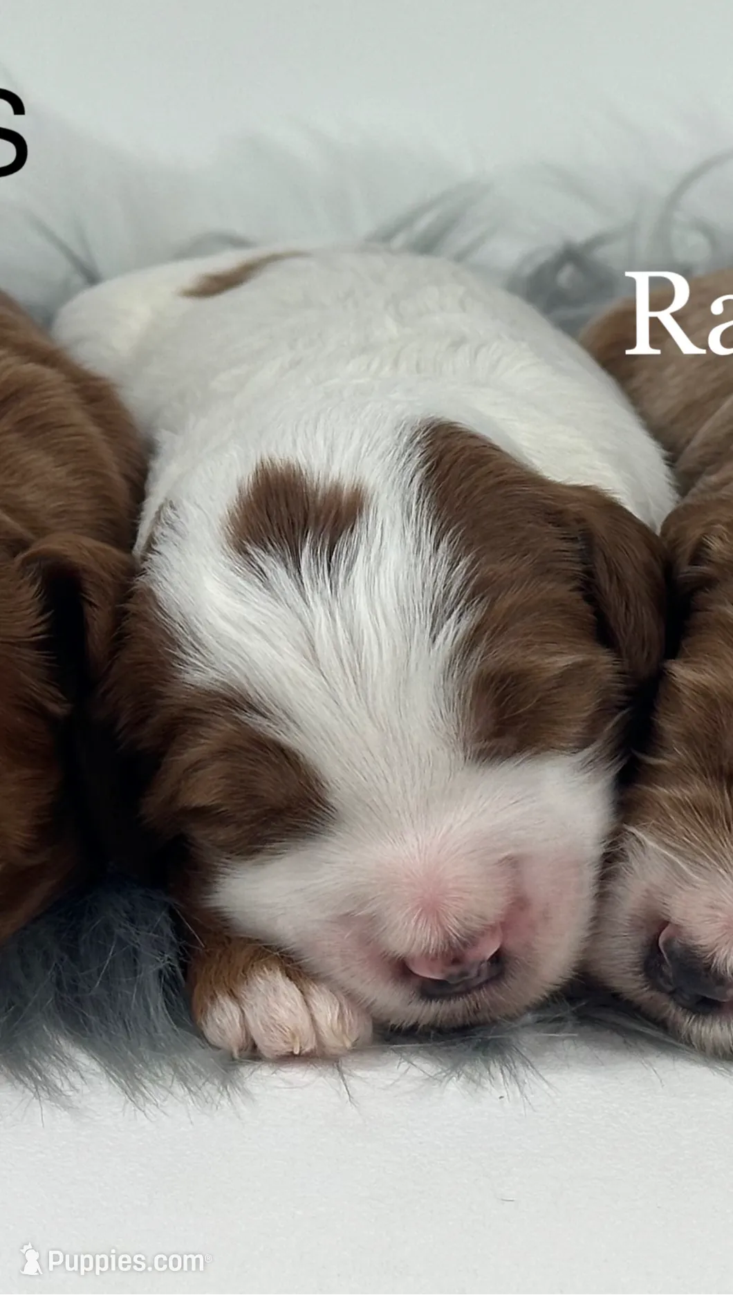 processed/68ba3d96-5364-47ee-915d-4f1771cd40e0/listing/501aa2e9-1d7e-4b12-a982-ed6c4f7afb3c/ce02759b-6589-4018-bf44-546d7b880777