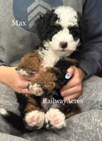 processed/68ba3d96-5364-47ee-915d-4f1771cd40e0/listing/50cf04f3-4b73-4ee9-bab4-9e4c53f0116d/1f043eff-c34d-411f-94e1-0dddafbd75ed