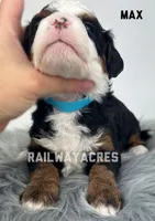 processed/68ba3d96-5364-47ee-915d-4f1771cd40e0/listing/50cf04f3-4b73-4ee9-bab4-9e4c53f0116d/822e29d8-e2c6-45e9-bba6-f9863b3aa790