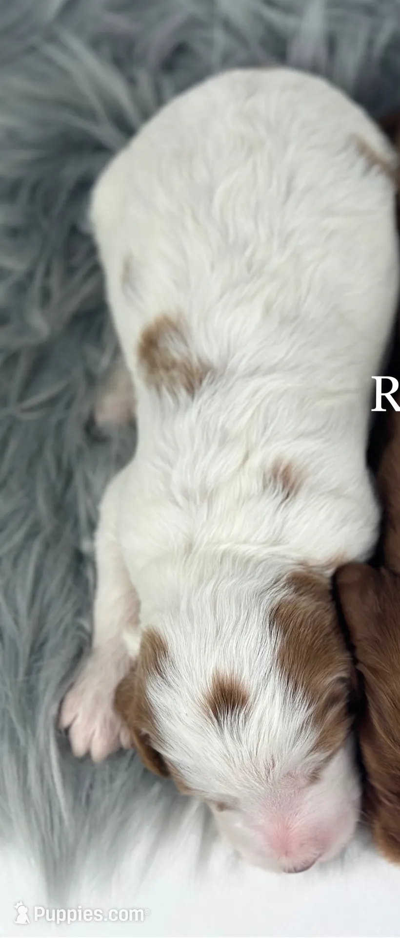 processed/68ba3d96-5364-47ee-915d-4f1771cd40e0/listing/55e91acd-5ec9-4ae7-8d33-b43f4adb6904/addf2f8a-0d00-4ca8-a603-a0a1c6a0fe70