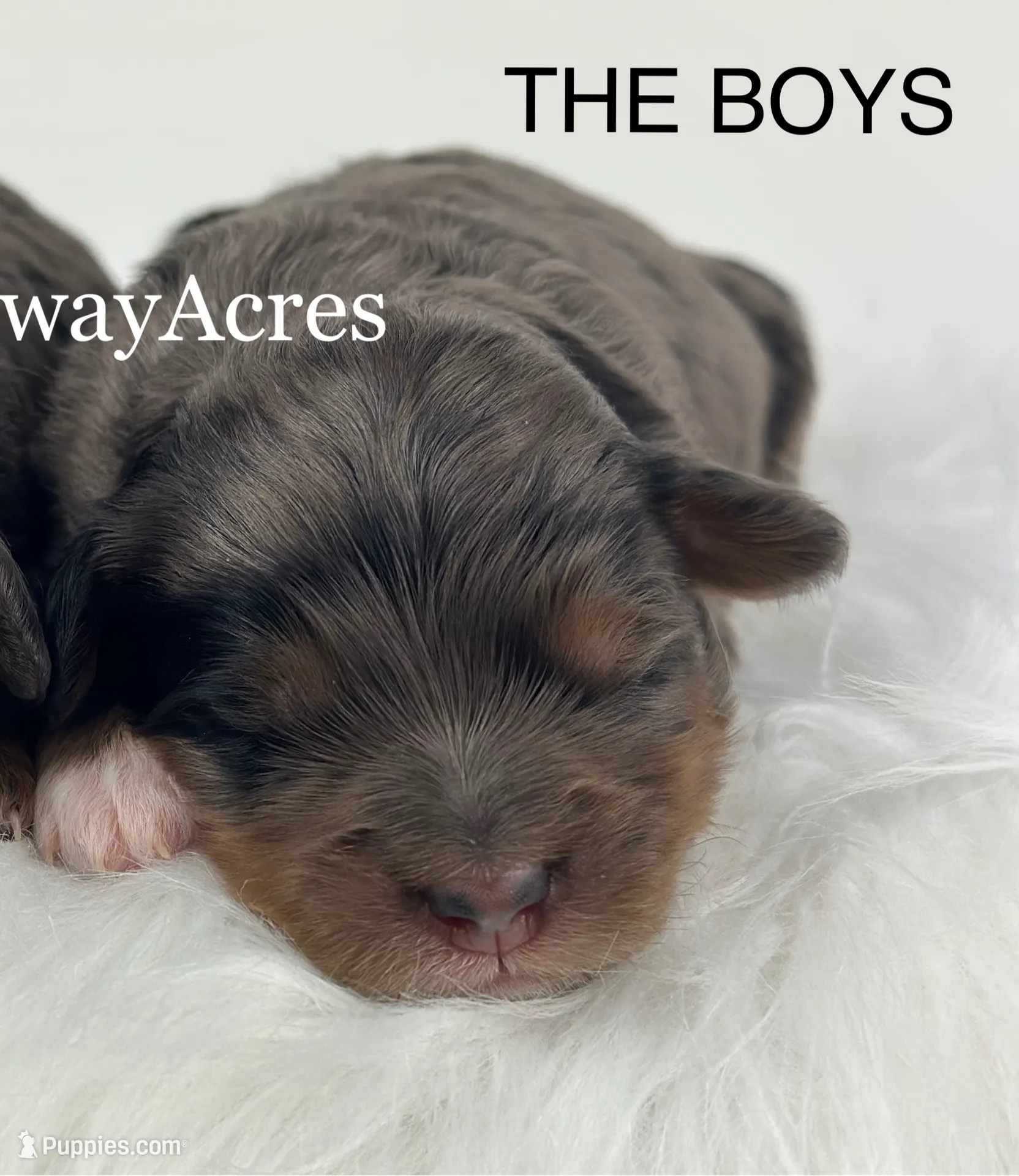 processed/68ba3d96-5364-47ee-915d-4f1771cd40e0/listing/71c3d3c3-72a0-47ec-bcd5-60108467b752/5fd179d6-d461-4c5a-a204-15c02ddef3d9