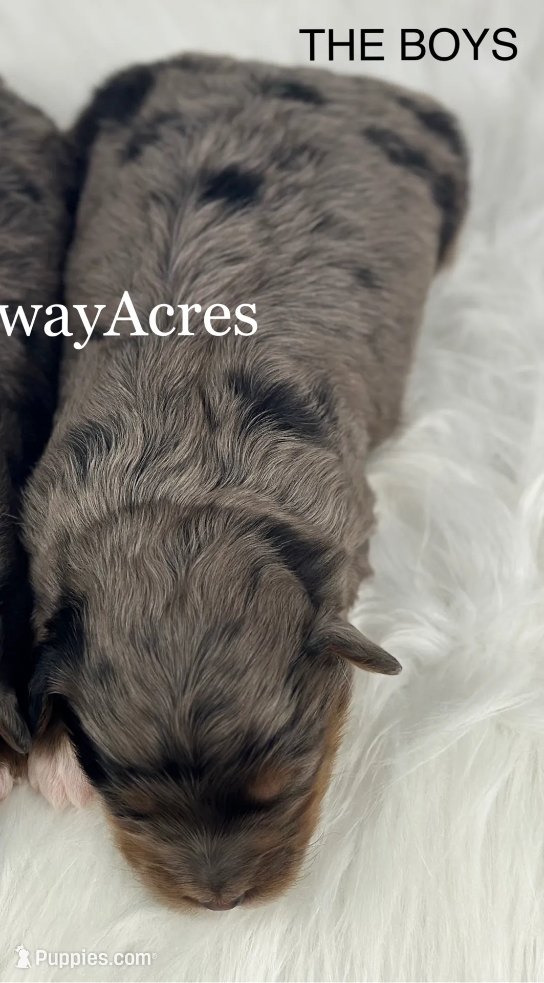 processed/68ba3d96-5364-47ee-915d-4f1771cd40e0/listing/71c3d3c3-72a0-47ec-bcd5-60108467b752/7b1ba1bb-dd9b-43fb-a983-db1f4be3091f