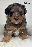 processed/68ba3d96-5364-47ee-915d-4f1771cd40e0/listing/71c3d3c3-72a0-47ec-bcd5-60108467b752/da1d90aa-8e69-48c6-ba01-8504b893beea