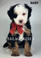 processed/68ba3d96-5364-47ee-915d-4f1771cd40e0/listing/909775e4-a4e0-4cd0-9a1f-3f57016fb3b4/c6ca93d3-e795-4bbb-b3f3-77bf09524b5a