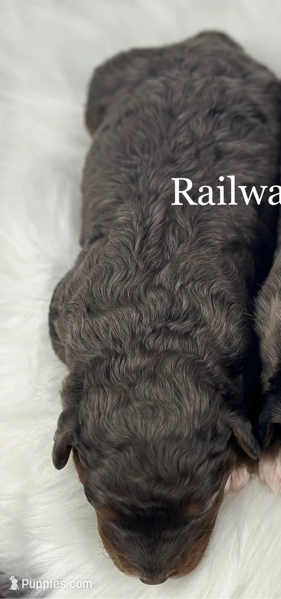 processed/68ba3d96-5364-47ee-915d-4f1771cd40e0/listing/a5fad9e6-3c9c-47f2-8417-c12258f79d5b/8b27c22a-d1d9-4f7e-8c42-bfa811aea622