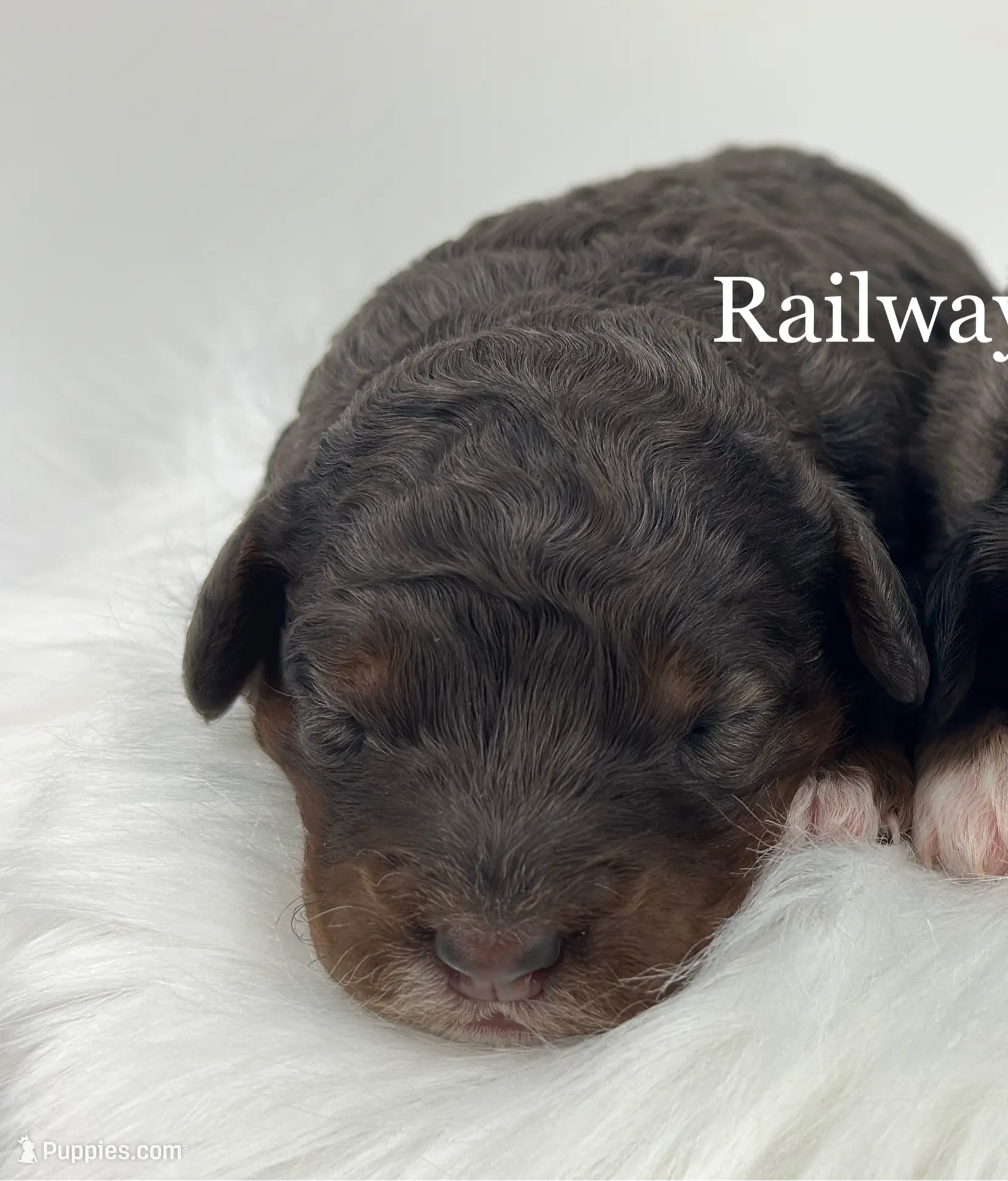 processed/68ba3d96-5364-47ee-915d-4f1771cd40e0/listing/a5fad9e6-3c9c-47f2-8417-c12258f79d5b/9eff8cd4-a1c2-42ca-ba57-04b7d7a413e1