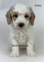 processed/68ba3d96-5364-47ee-915d-4f1771cd40e0/listing/a9c50e57-950e-414e-82a1-48fdf5412014/9741d3f9-0d3a-4ce3-8917-82ddbc1869ad