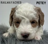 processed/68ba3d96-5364-47ee-915d-4f1771cd40e0/listing/a9c50e57-950e-414e-82a1-48fdf5412014/b8f84be6-142f-4aad-a839-6c9bea5b9491