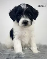 processed/68ba3d96-5364-47ee-915d-4f1771cd40e0/listing/e738401c-38e3-45e7-8282-030acb44a93a/685adf8c-ed06-4b7b-9e9c-2a9014d363ad