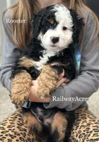 processed/68ba3d96-5364-47ee-915d-4f1771cd40e0/listing/ecb5ab8b-5cb8-4605-8059-7150e499b414/0af3b39f-09f5-4561-bd3d-d8b0e4badd8c