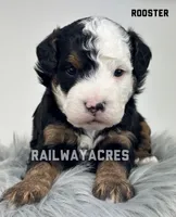 processed/68ba3d96-5364-47ee-915d-4f1771cd40e0/listing/ecb5ab8b-5cb8-4605-8059-7150e499b414/50443216-a819-4819-9f83-8348b0a06afa