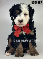 processed/68ba3d96-5364-47ee-915d-4f1771cd40e0/listing/ecb5ab8b-5cb8-4605-8059-7150e499b414/5704232f-15cb-49cb-865f-9f5ede4e5429