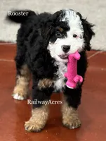 processed/68ba3d96-5364-47ee-915d-4f1771cd40e0/listing/ecb5ab8b-5cb8-4605-8059-7150e499b414/b0b05d07-a5cf-4342-ad9f-d6bc24c6e38a