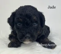 processed/68ba3d96-5364-47ee-915d-4f1771cd40e0/listing/ff006f8c-ec07-4373-8107-c20b407ee89a/5e34bb02-2e77-4420-bace-936be429d84c