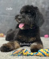 processed/68ba3d96-5364-47ee-915d-4f1771cd40e0/listing/ff006f8c-ec07-4373-8107-c20b407ee89a/eab17cba-a9d1-4346-89e6-e3a95b94efca