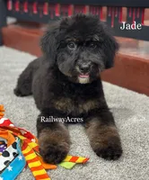 processed/68ba3d96-5364-47ee-915d-4f1771cd40e0/listing/ff006f8c-ec07-4373-8107-c20b407ee89a/f0cd663e-13dc-4c02-88e9-3398108aede7