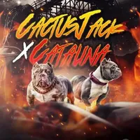 processed/68c5a196-6732-4225-95b3-19ad0ee60d71/facility/4160e643-ca47-4136-8496-255bed16bd34