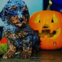 processed/68c5a196-6732-4225-95b3-19ad0ee60d71/facility/6b2e378b-e68e-42bc-8526-fbed154186e3