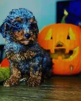 processed/68c5a196-6732-4225-95b3-19ad0ee60d71/facility/6b2e378b-e68e-42bc-8526-fbed154186e3