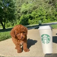 processed/68c5a196-6732-4225-95b3-19ad0ee60d71/facility/a3192e84-c258-47c5-ac30-c9918ad1cfcf