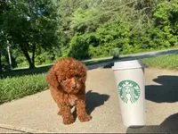 processed/68c5a196-6732-4225-95b3-19ad0ee60d71/facility/a3192e84-c258-47c5-ac30-c9918ad1cfcf