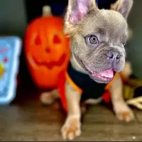 processed/68c5a196-6732-4225-95b3-19ad0ee60d71/facility/ba6138c3-0448-4552-9b06-3e15c4593712